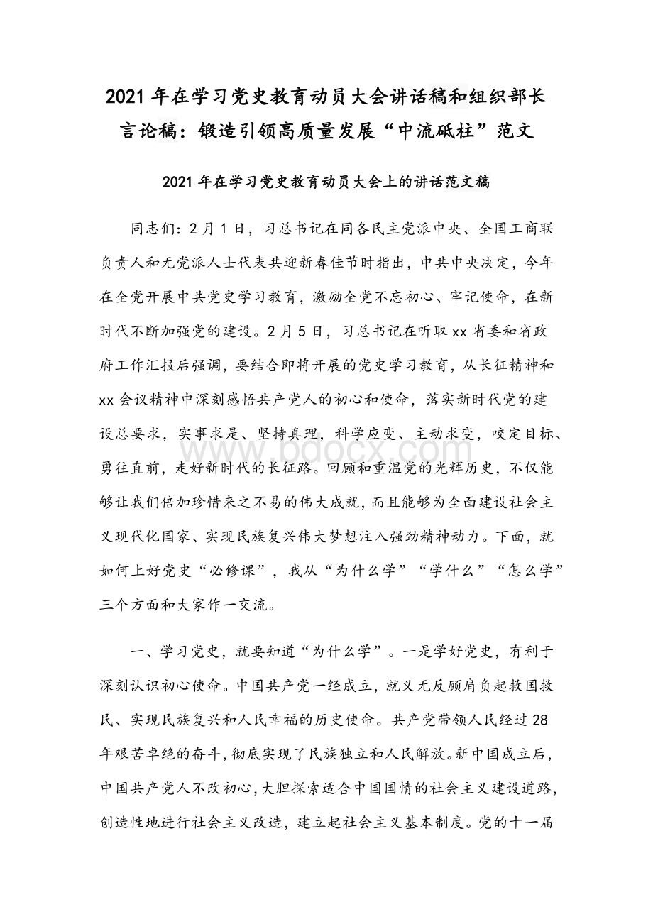 2021年在学习党史教育动员大会讲话稿和组织部长言论稿：锻造引领高质量发展“中流砥柱”范文.docx_第1页