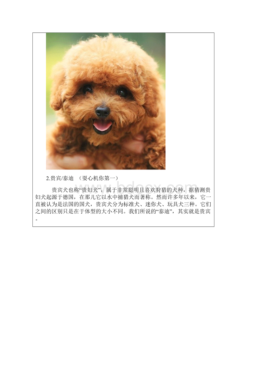 最新世界名犬大全前100名配详图和说明资料.docx_第2页