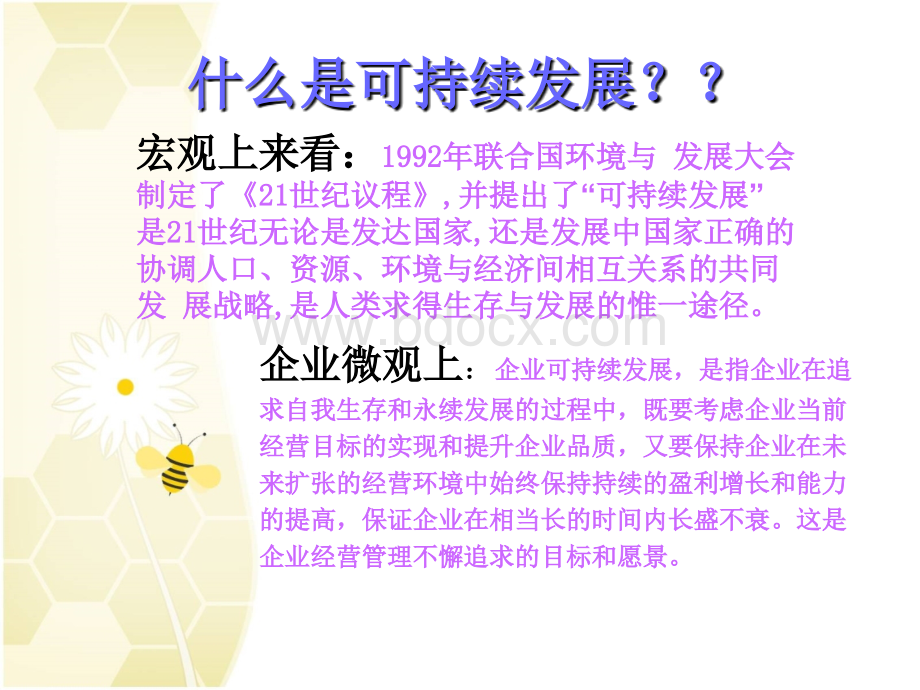 企业可持续发展理念.ppt_第3页