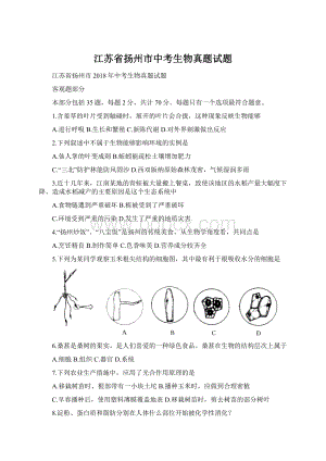 江苏省扬州市中考生物真题试题.docx