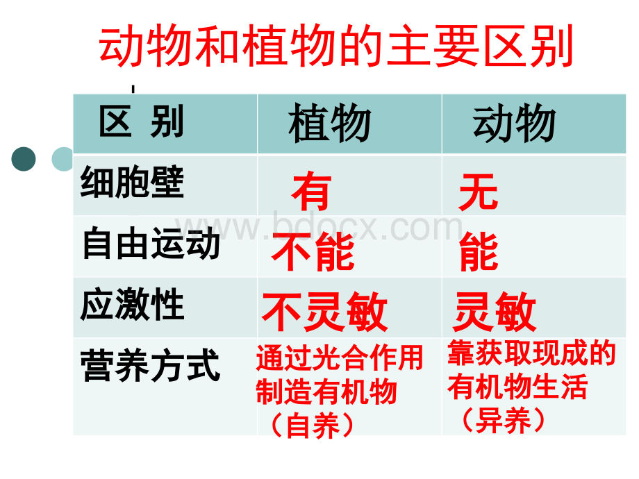 腔肠动物课件(完成)PPT文档格式.ppt_第2页