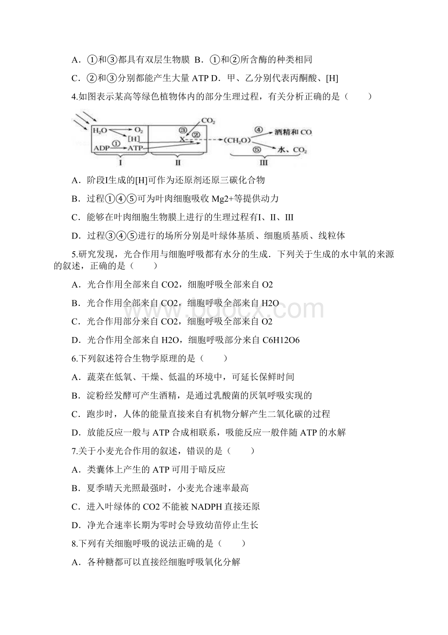 届河北省安平中学高三上学期第二次月考生物试题Word格式.docx_第2页