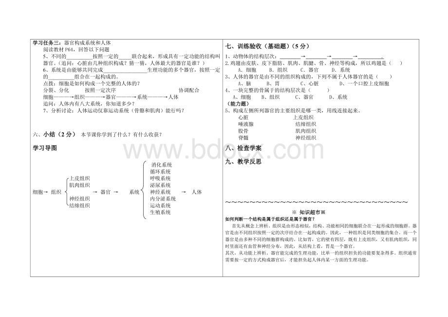 动物体的结构层次导学案Word格式.doc_第2页