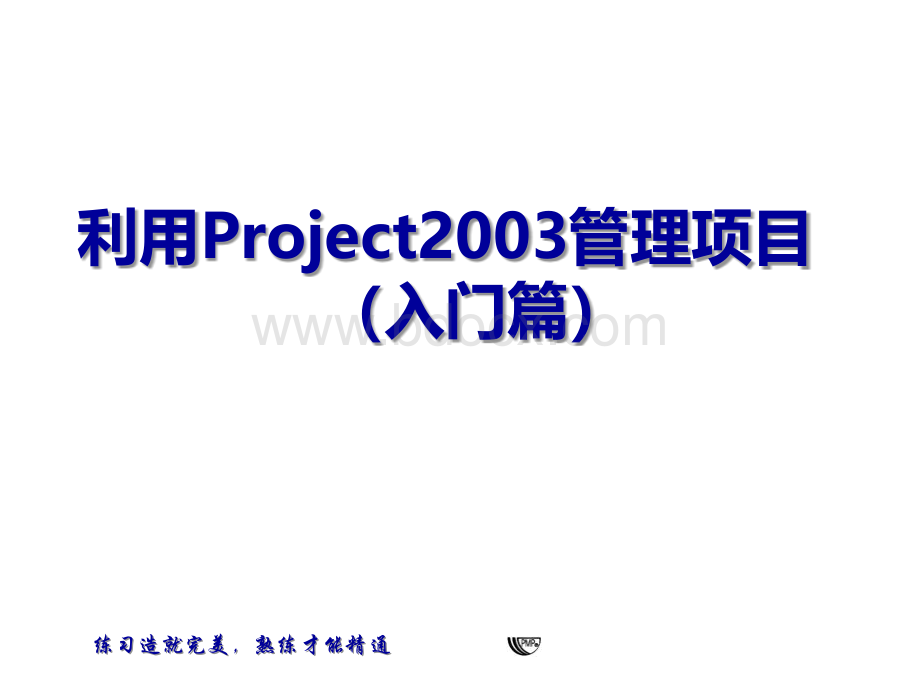 利用Project2003管理项目PPT资料.ppt_第1页