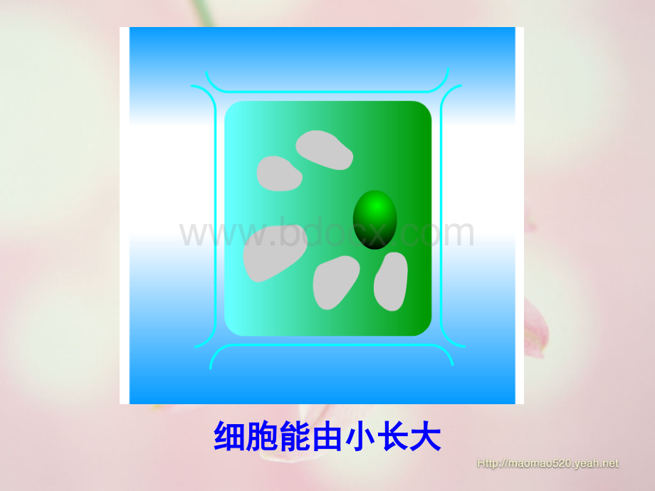 细胞生活.ppt.ppt_第2页