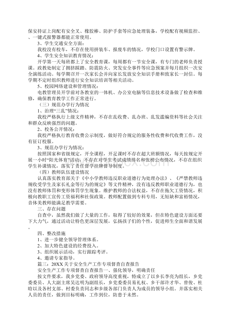 重点工作专项督查自查报告Word格式文档下载.docx_第3页