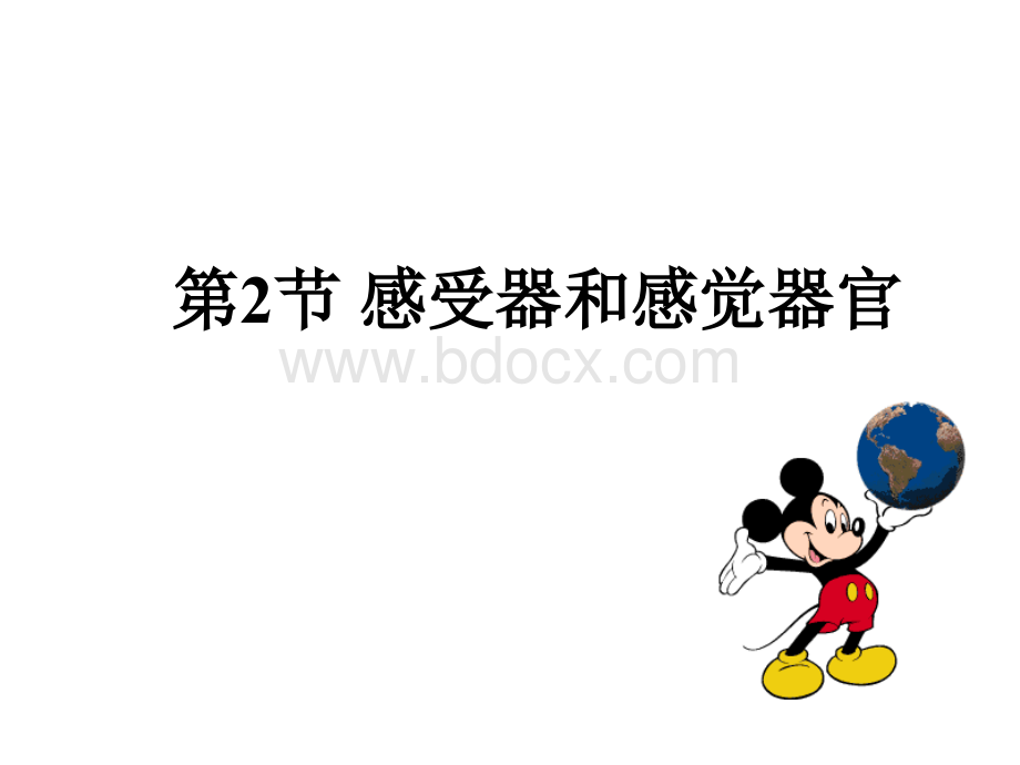 感受器和感觉器官全优质PPT.ppt