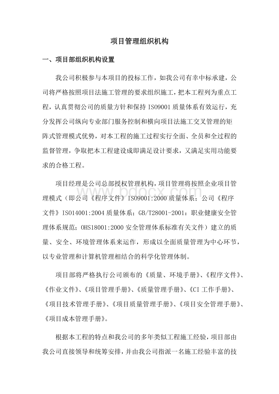 项目管理组织机构.docx