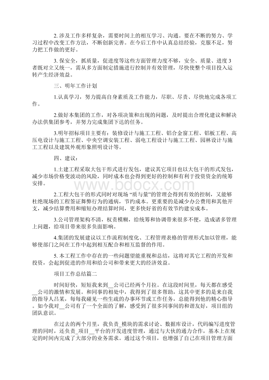 项目工作总结.docx_第2页