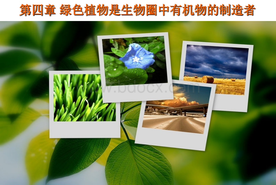 绿色植物是生物圈中有机物的制造者课件(新人教版).ppt_第1页