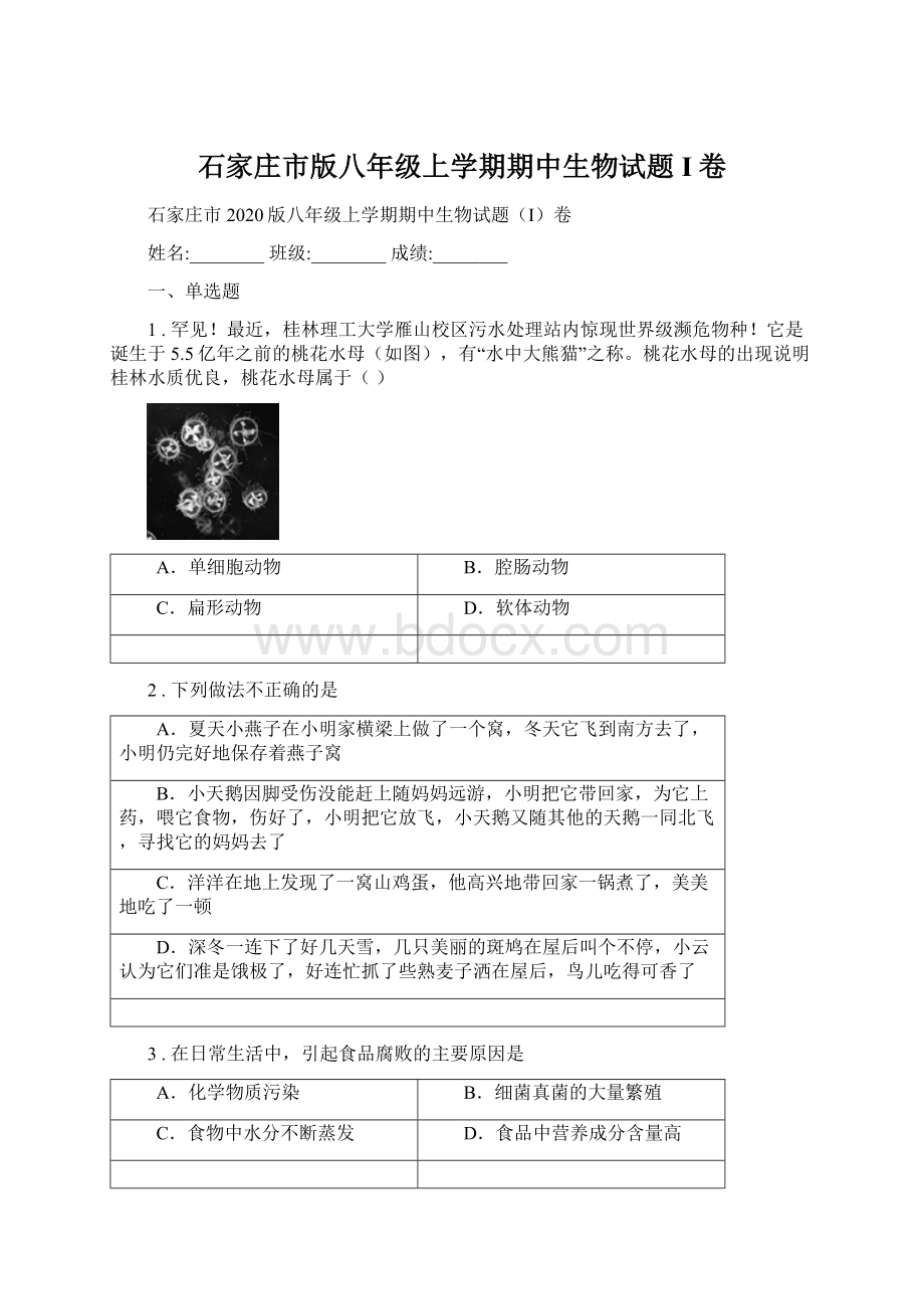 石家庄市版八年级上学期期中生物试题I卷.docx_第1页