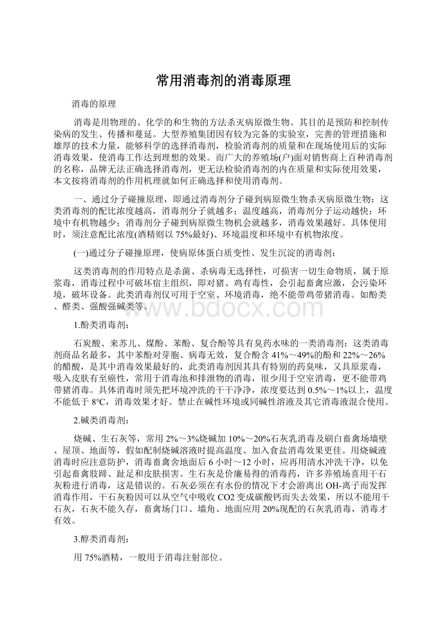 常用消毒剂的消毒原理文档格式.docx