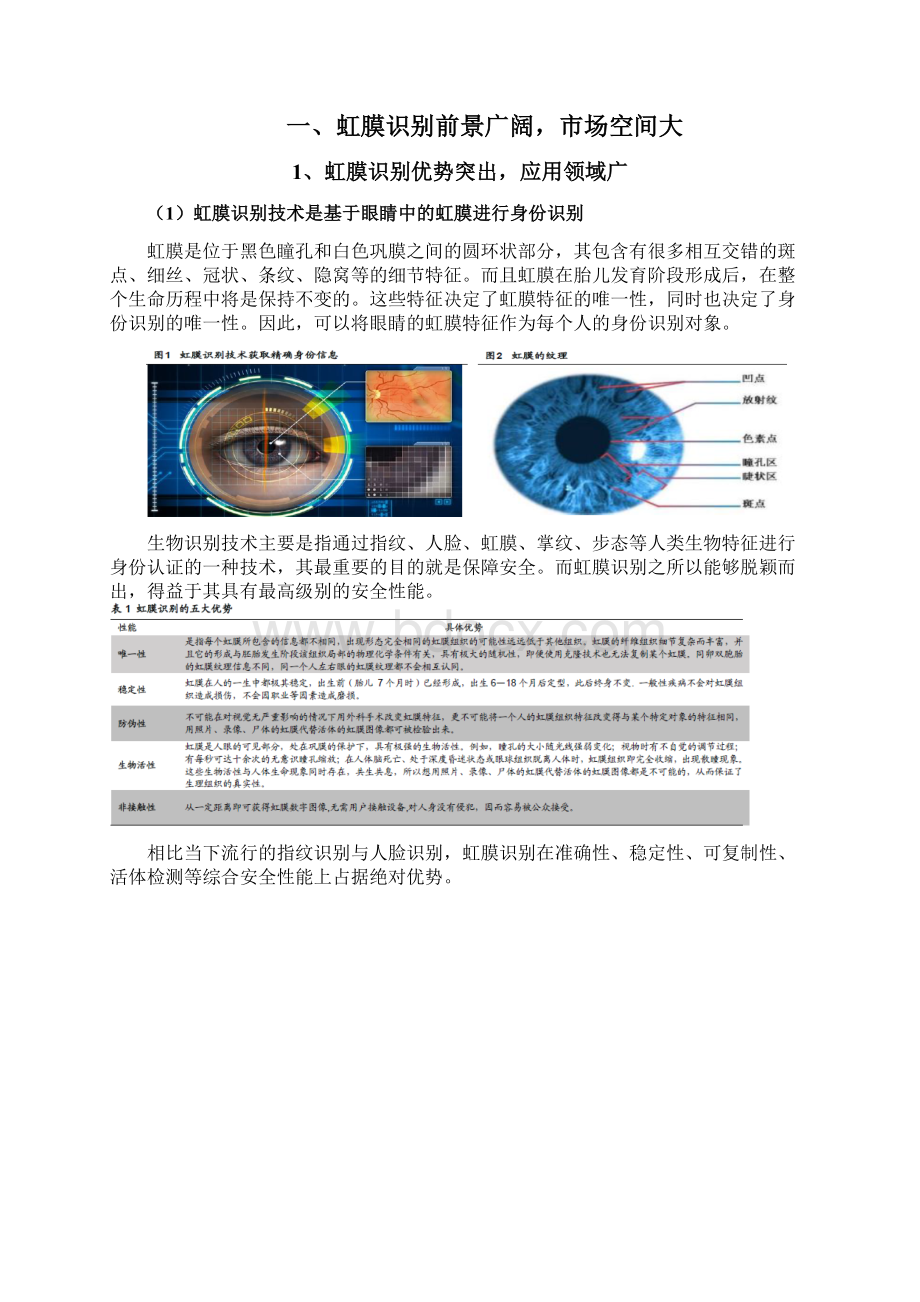 虹膜识别行业分析报告.docx_第2页