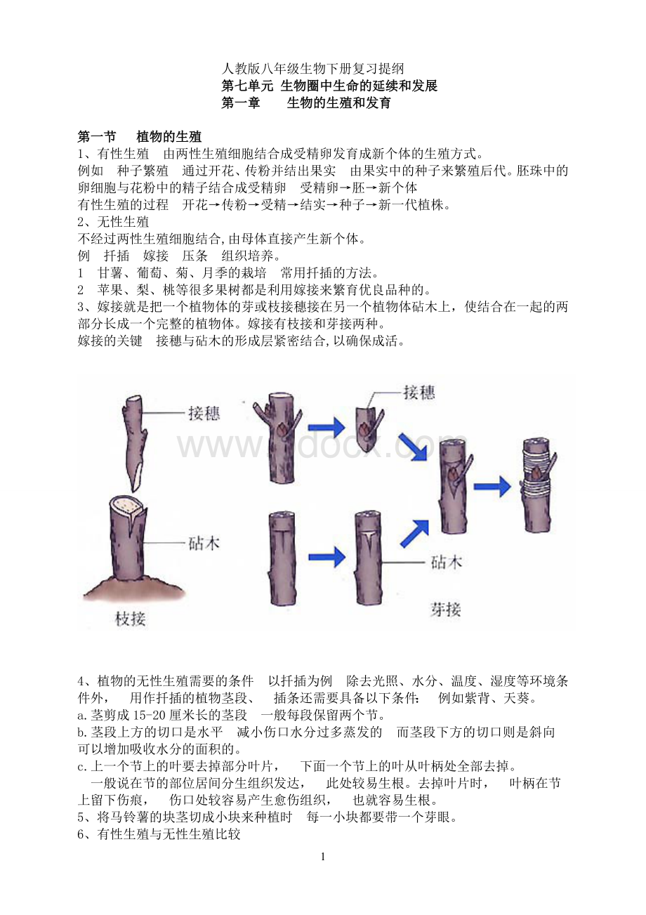 人教版八年级生物下册复习提纲Word文档格式.doc