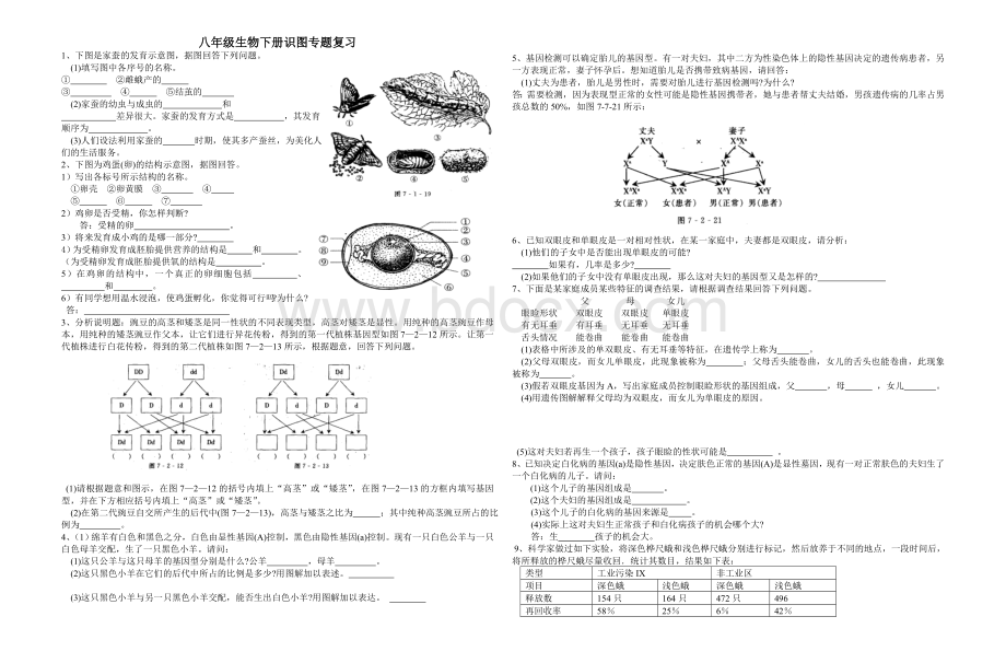 八年级生物下册识图专题复习.doc_第1页