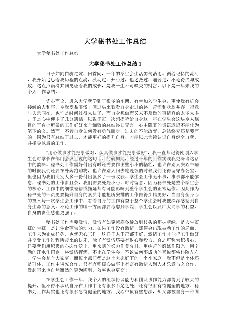 大学秘书处工作总结文档格式.docx