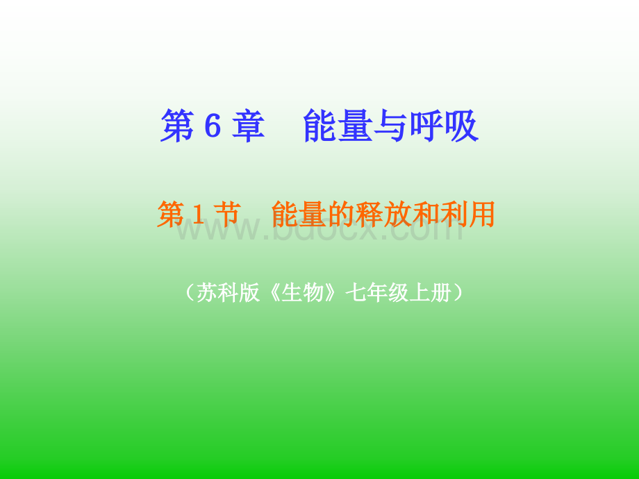 能量的释放和利用优质PPT.ppt_第1页