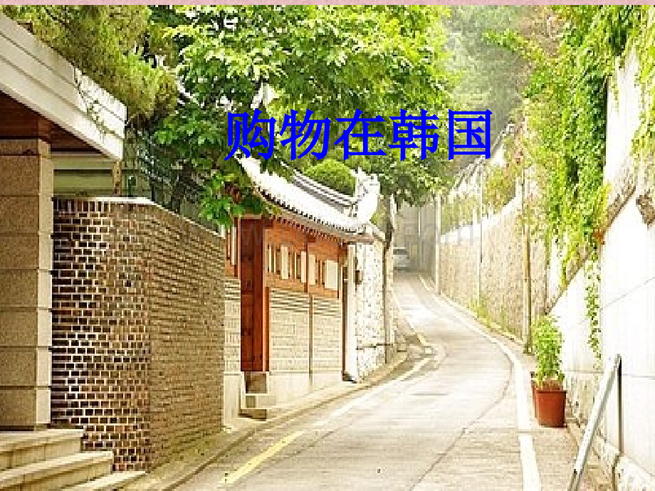 旅游购物pptPPT文件格式下载.ppt