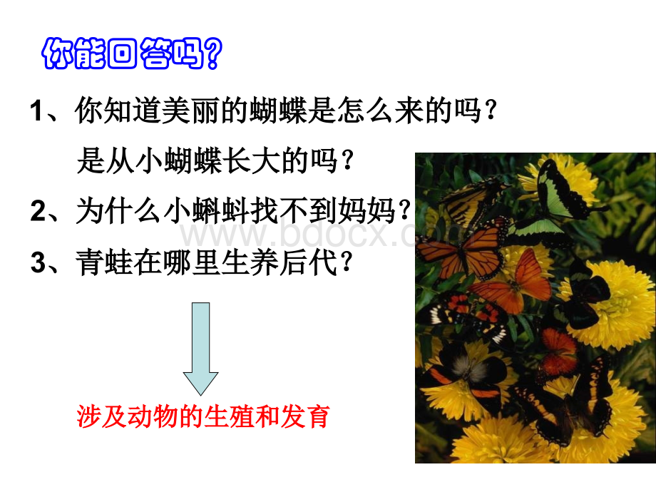 动物的生殖和发育.ppt_第2页