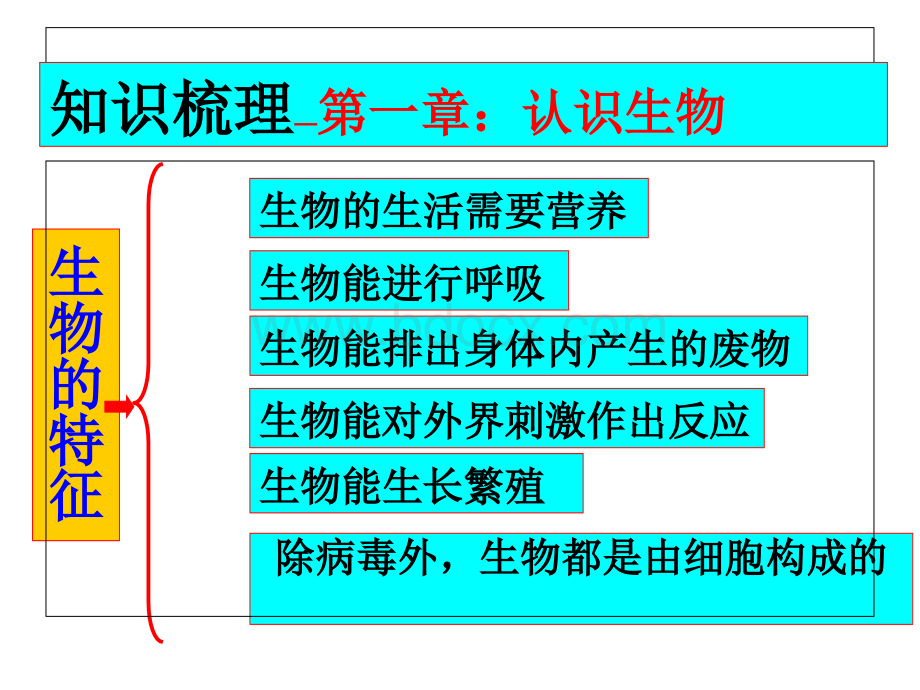 生物课件：新人教版七年级上册第一单元+生物和生物圈+复习课件+(共23张PPT).ppt_第3页