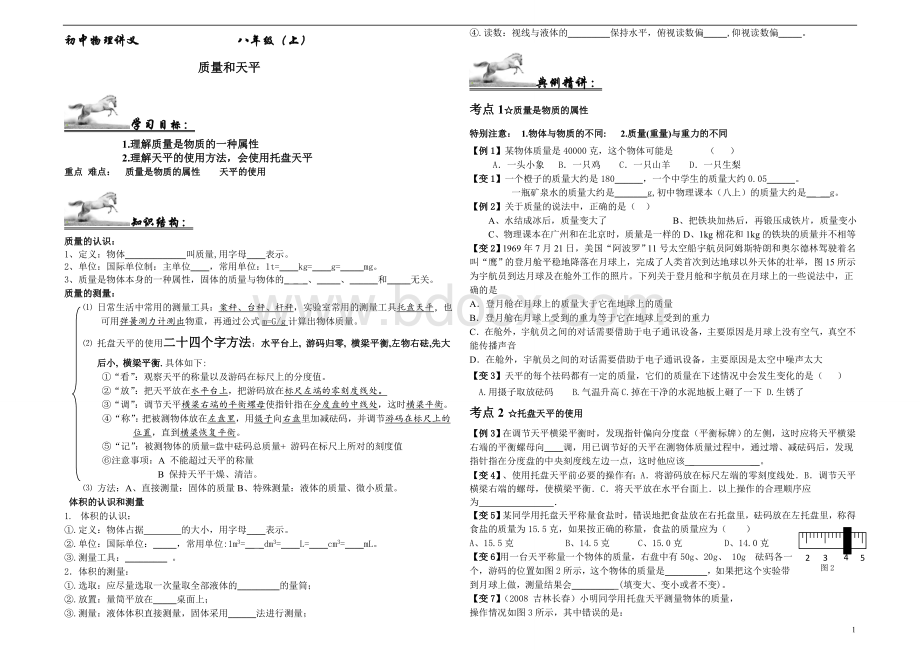 讲义初二物理质量和天平.doc