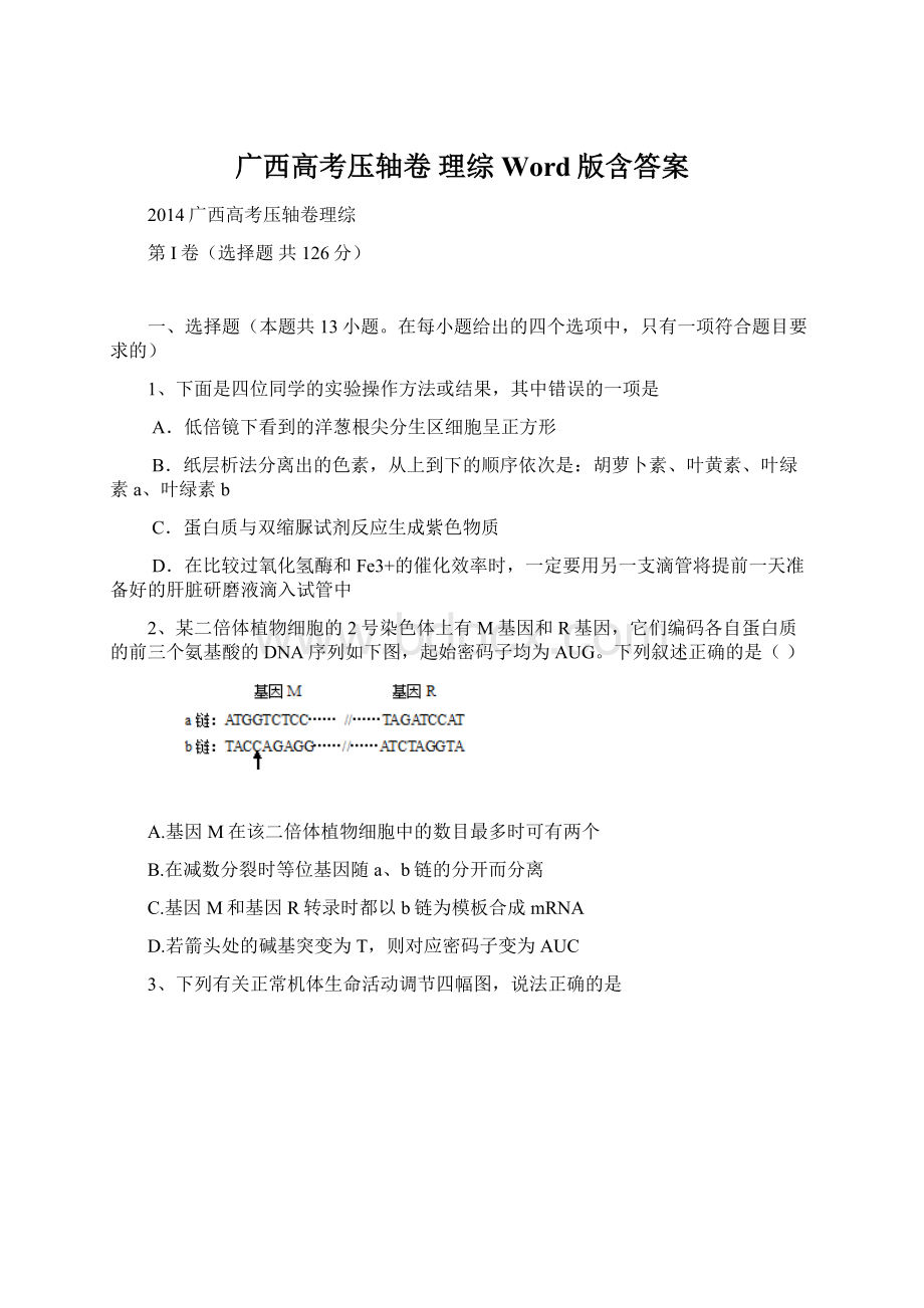 广西高考压轴卷 理综 Word版含答案Word格式.docx_第1页