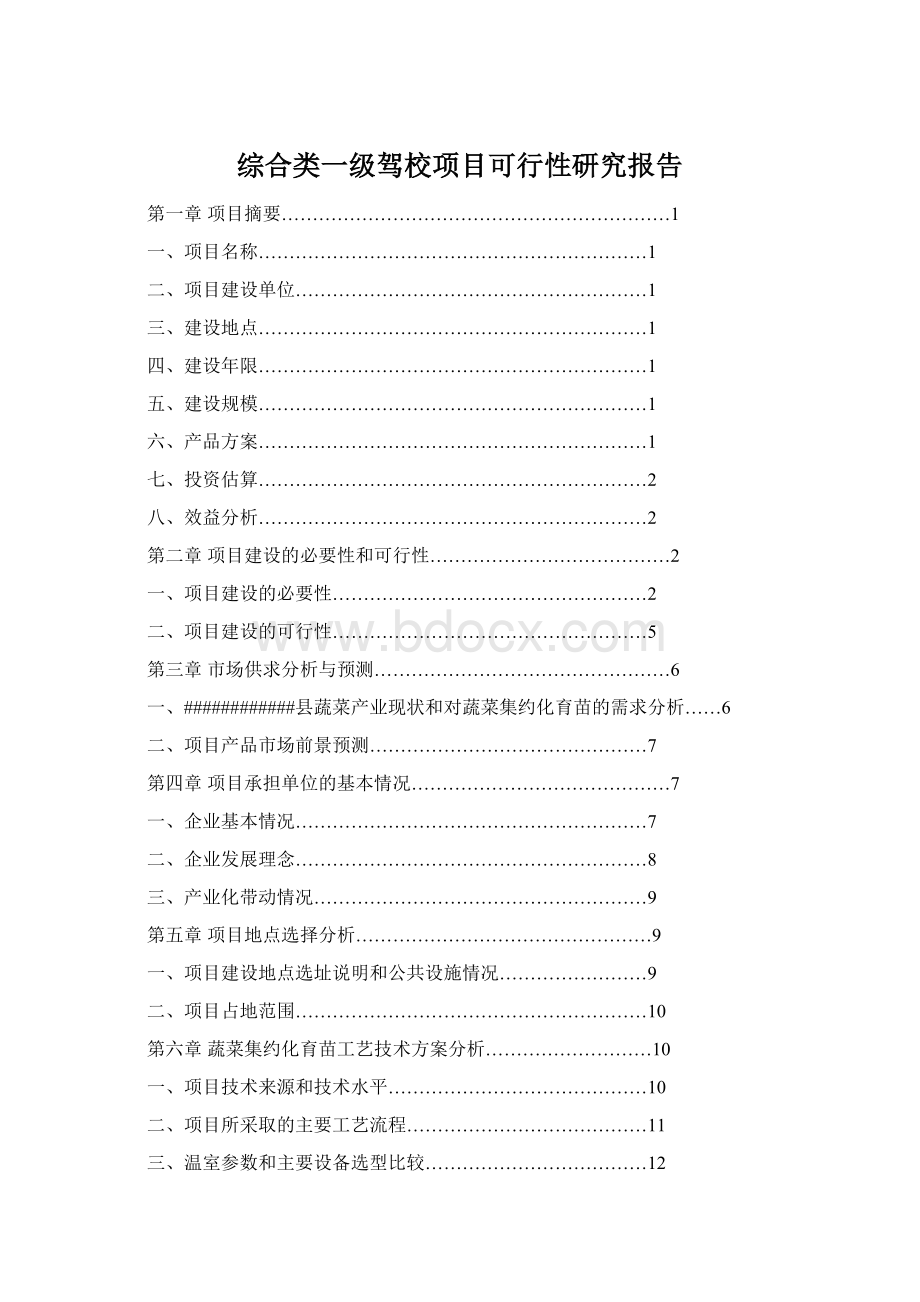 综合类一级驾校项目可行性研究报告Word文档格式.docx