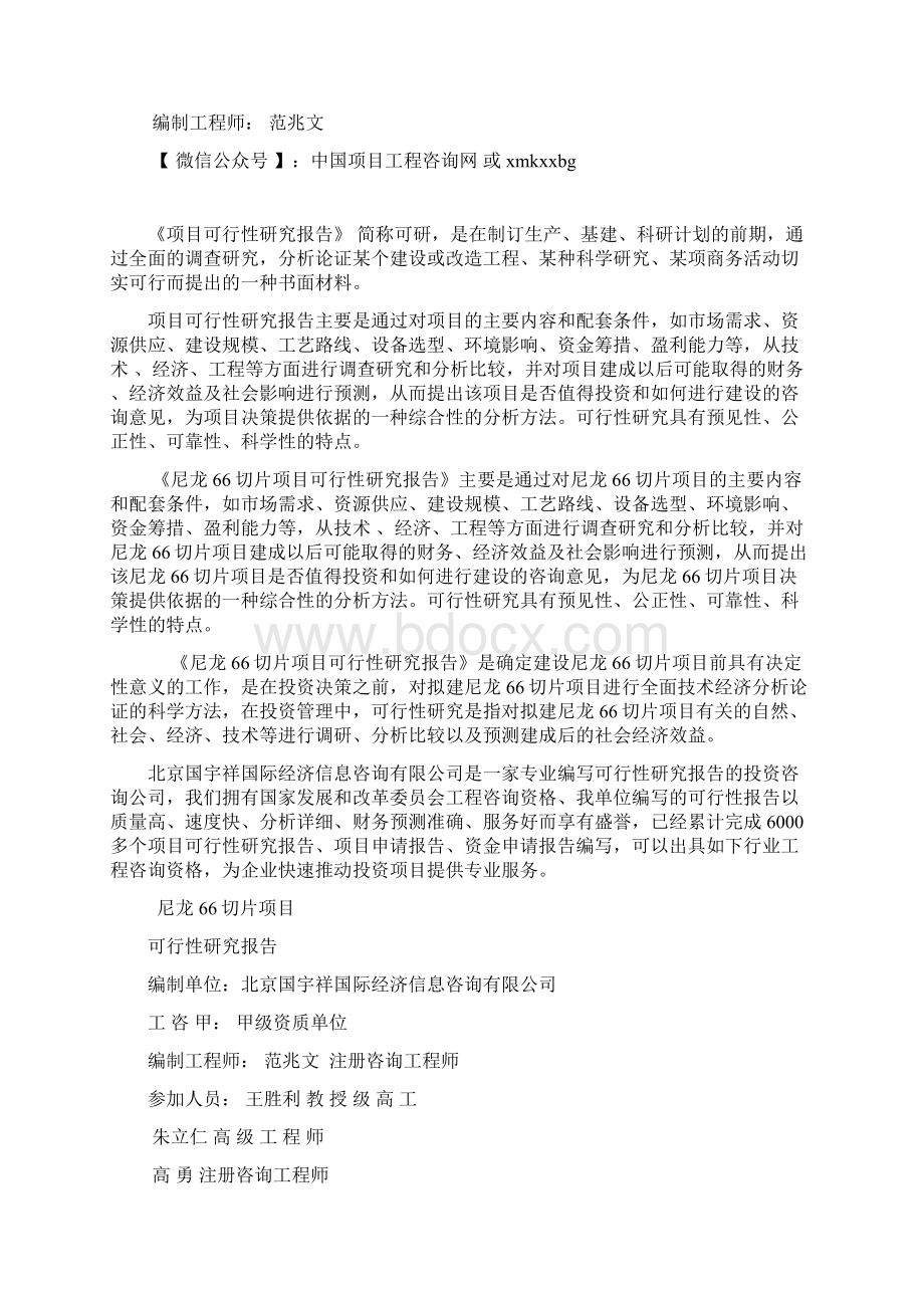 尼龙66切片项目可行性研究报告案例分析案例分析.docx_第2页