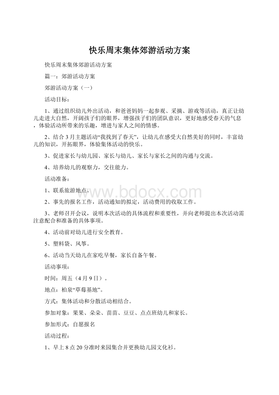 快乐周末集体郊游活动方案.docx