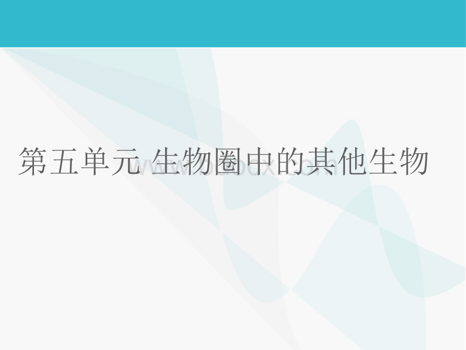 中考人教版生物第五单元生物圈中的其他生物复习课件共张PPTPPT格式课件下载.ppt_第1页