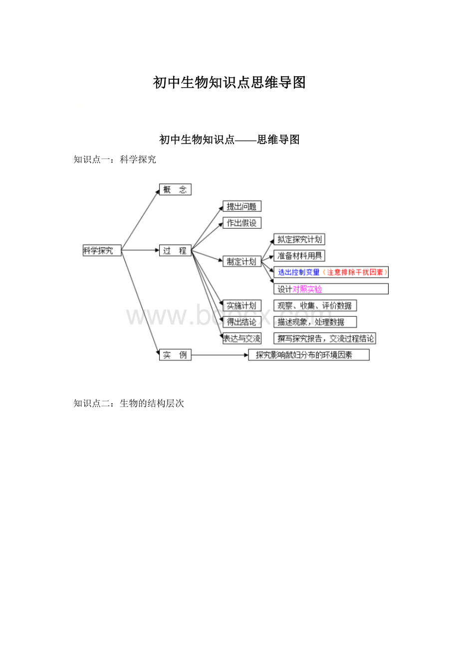 初中生物知识点思维导图Word文件下载.docx