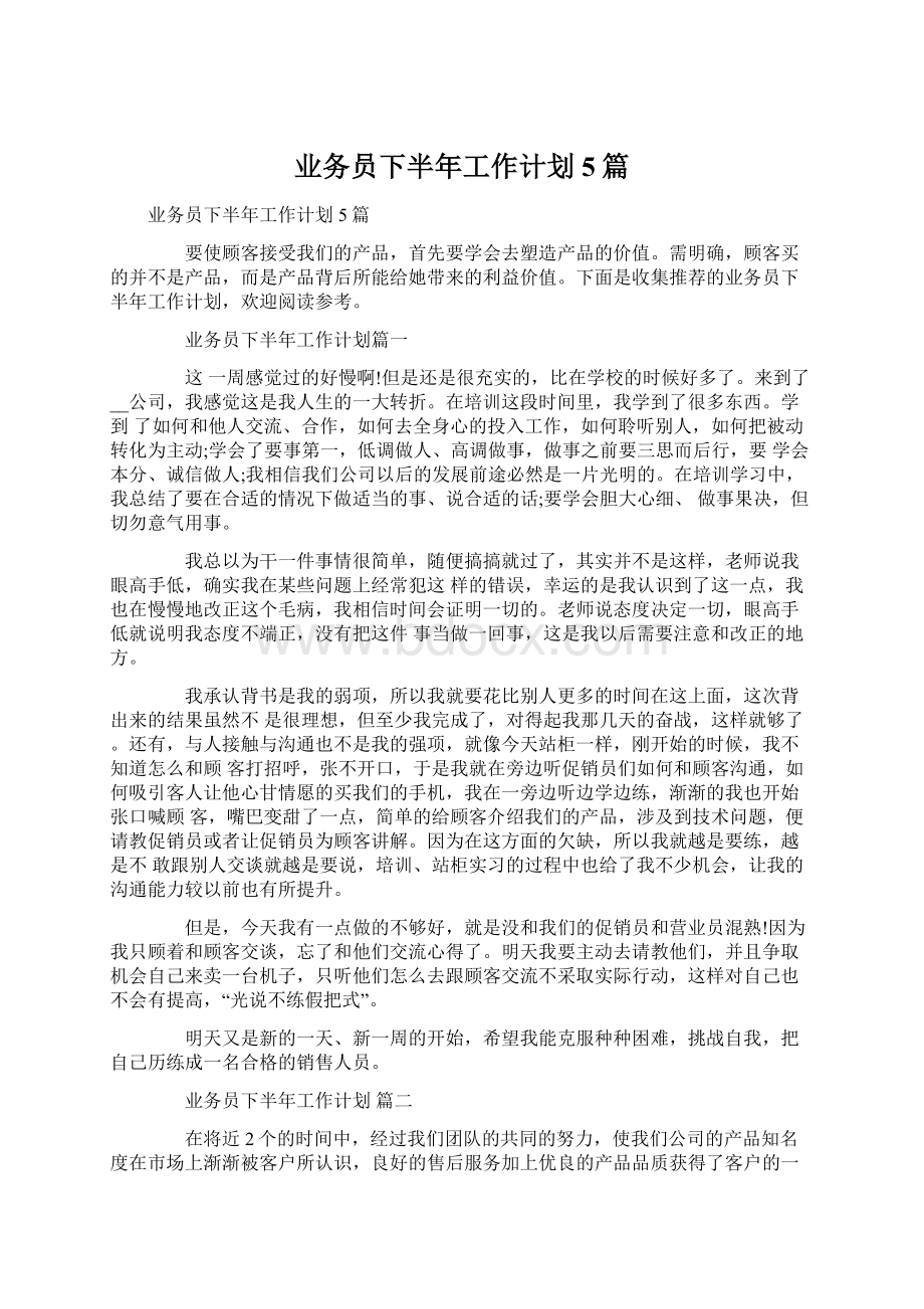 业务员下半年工作计划5篇文档格式.docx