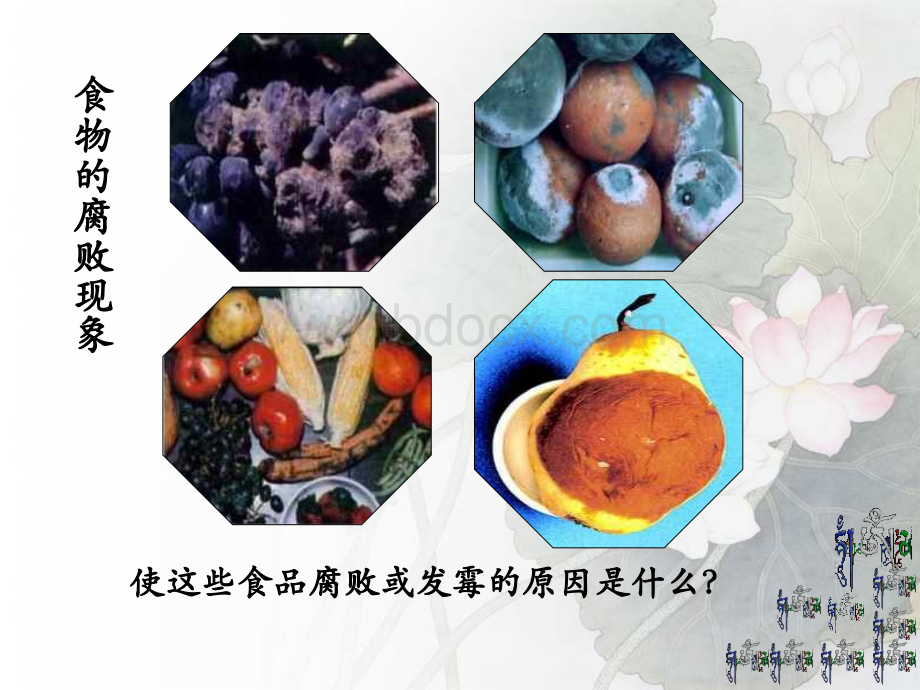 细菌和真菌在自然界中的作用优质PPT.ppt_第3页