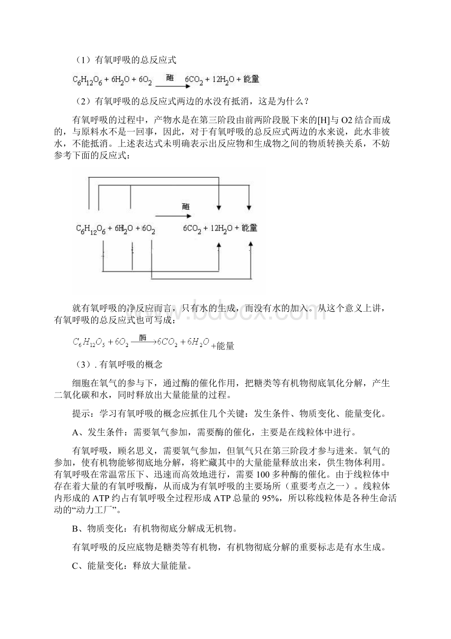 细胞呼吸知识点复习及答案Word格式文档下载.docx_第2页