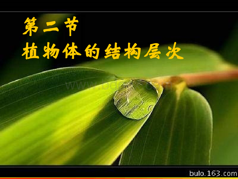 七年级生物《植物体的结构层次》课件PPT文件格式下载.ppt_第1页