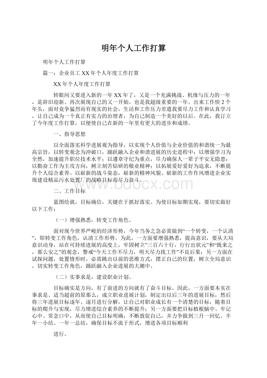 明年个人工作打算文档格式.docx