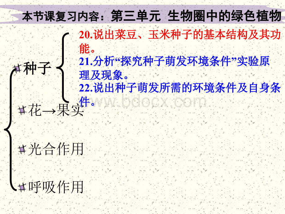 七上中考总复习生物圈中的绿色植物PPT推荐.ppt_第3页