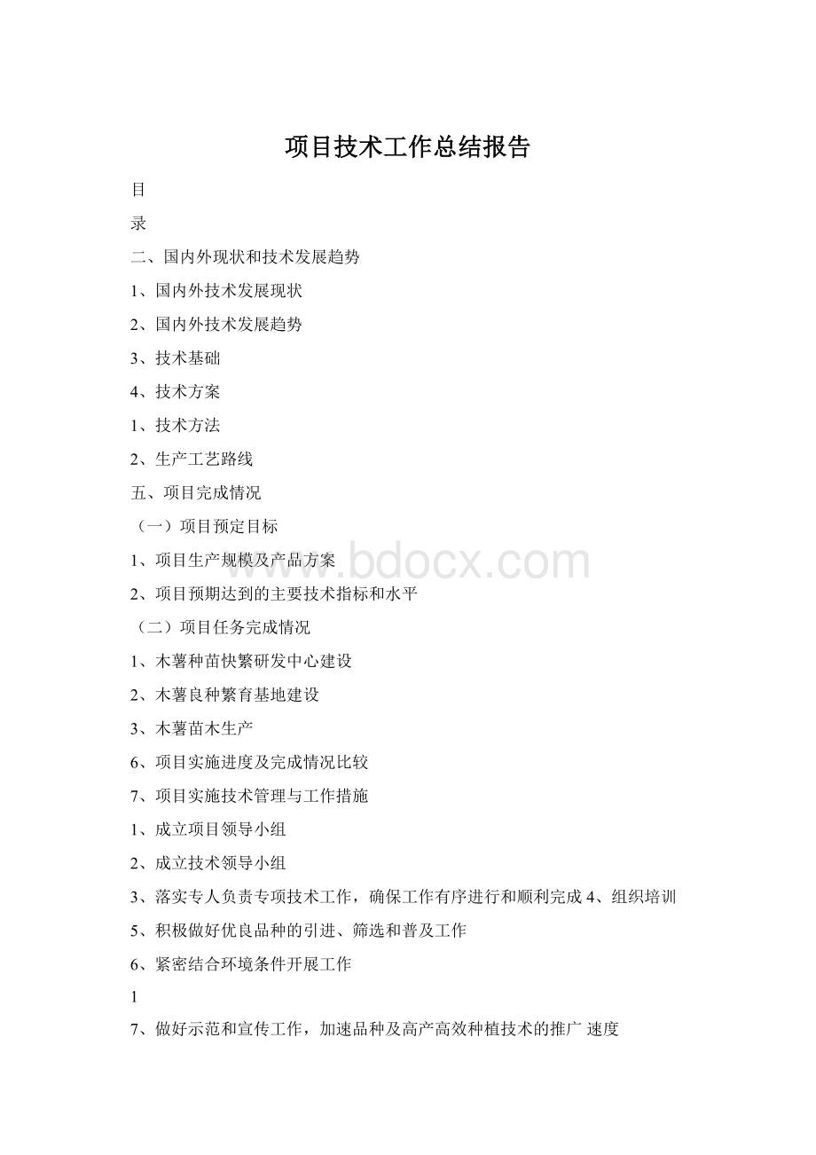 项目技术工作总结报告Word文档格式.docx