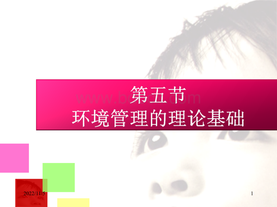 第二章第五节环境管理的理论基础1.ppt_第1页