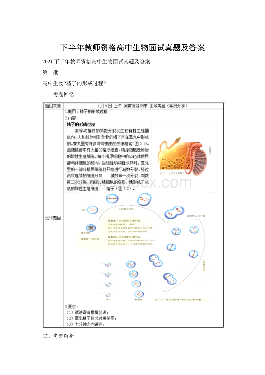 下半年教师资格高中生物面试真题及答案.docx