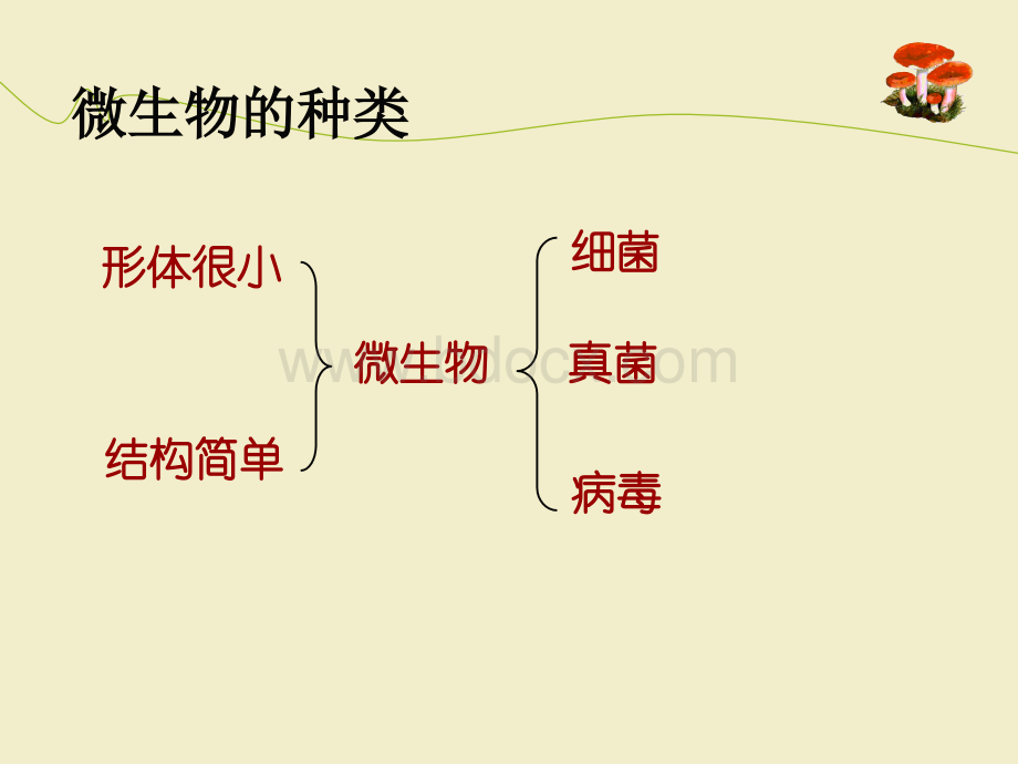 第三节-神奇的微生物-课件(24PPT).ppt_第3页