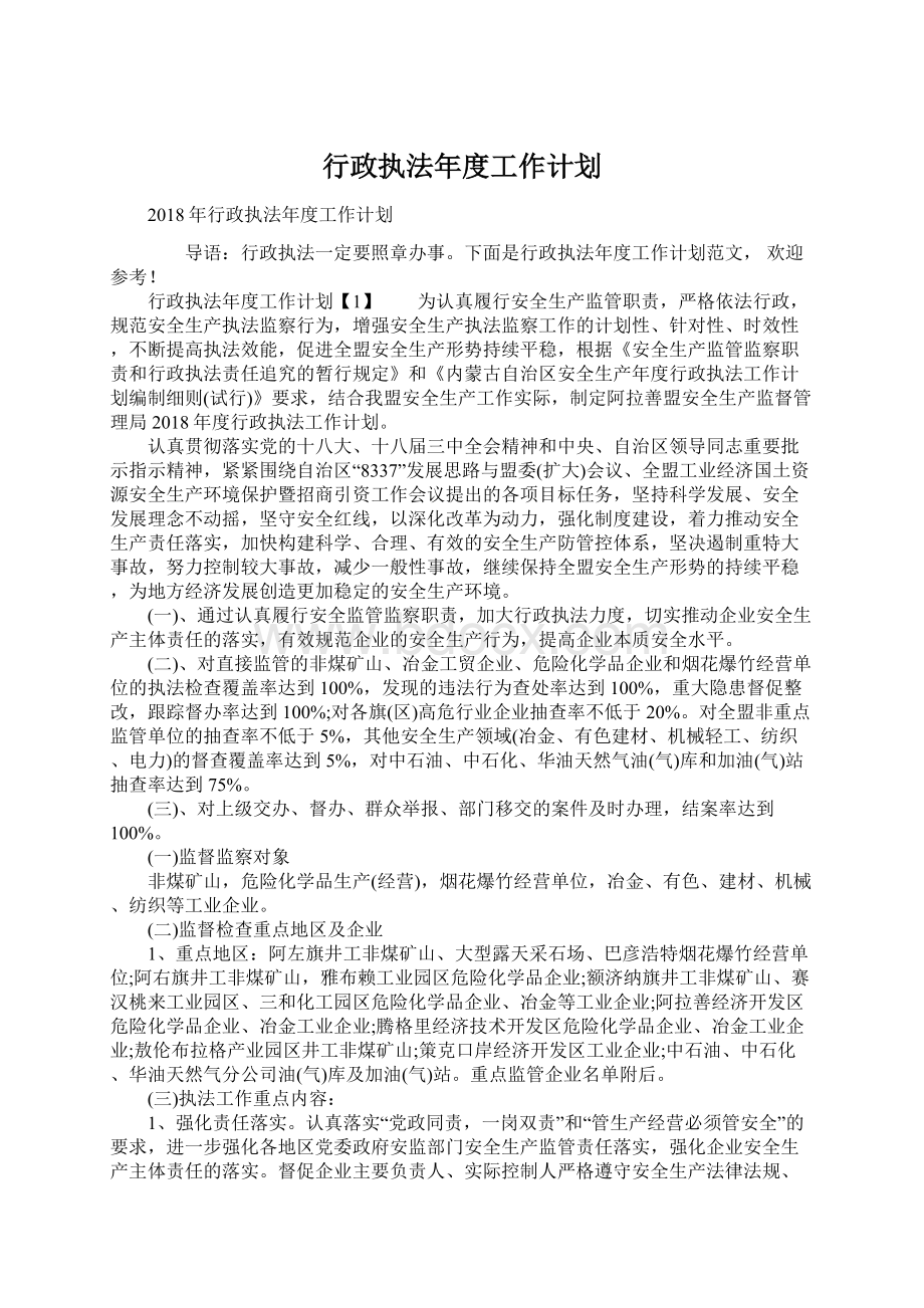 行政执法年度工作计划.docx