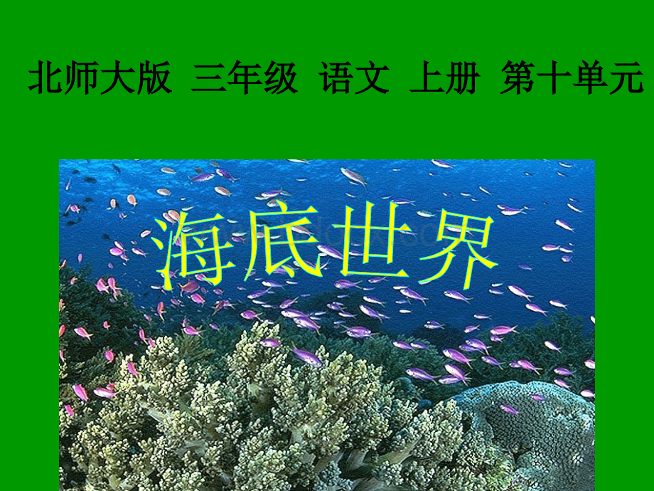 海底世界ppt课件PPT格式课件下载.ppt