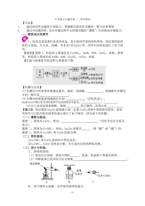 化学鲁教版中考复习专题学案科学试题探究性探讨.doc