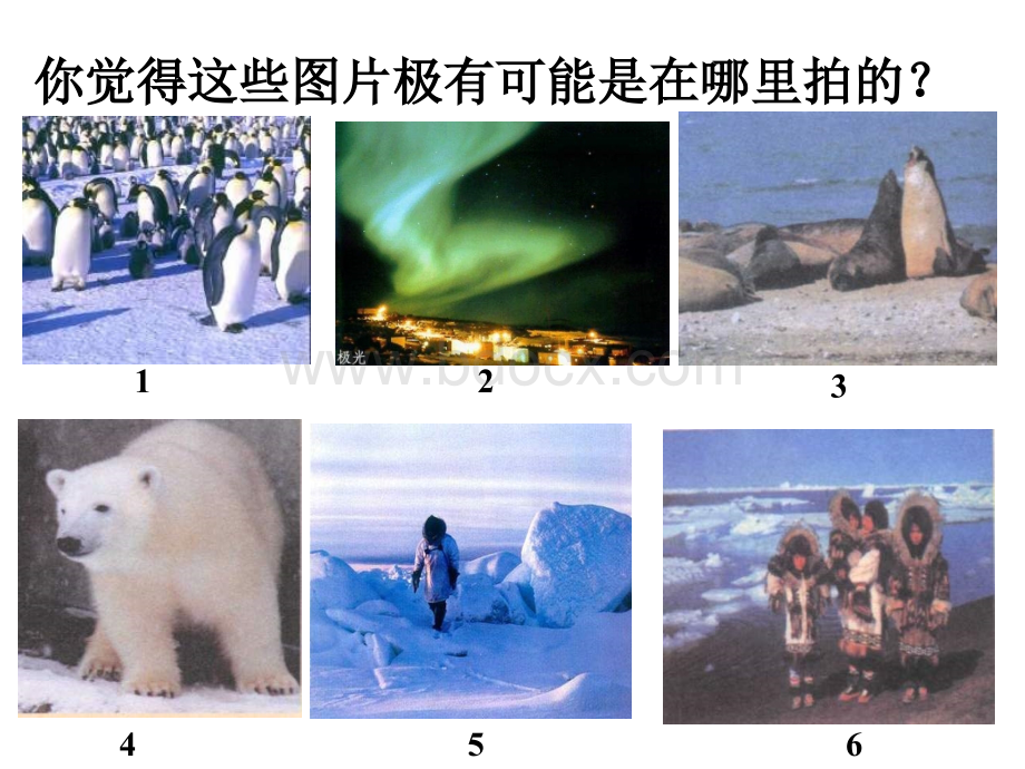 七年级地理极地地区dishiyi.ppt_第1页