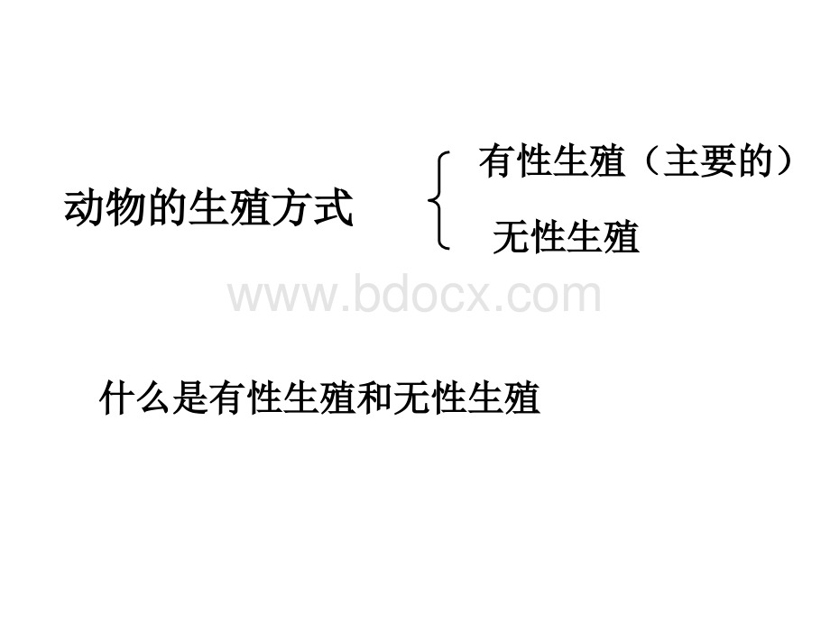 浙教版七年级下册科学1.5植物生殖方式的多样性PPT文件格式下载.ppt