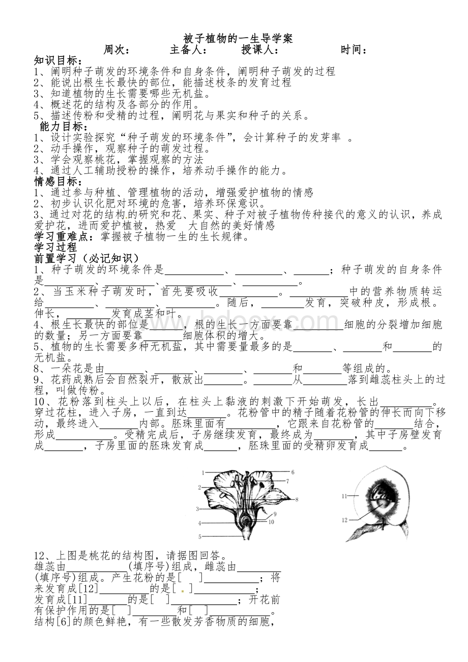 被子植物的一生复习导学案Word格式.doc