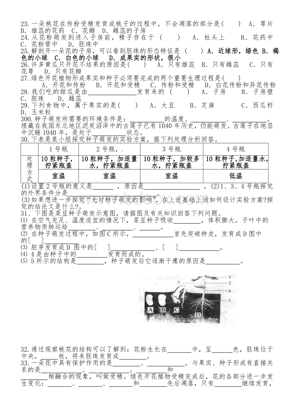 被子植物的一生复习导学案.doc_第3页