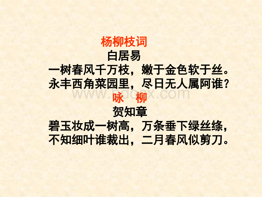 杨柳教学PPTPPT文档格式.ppt