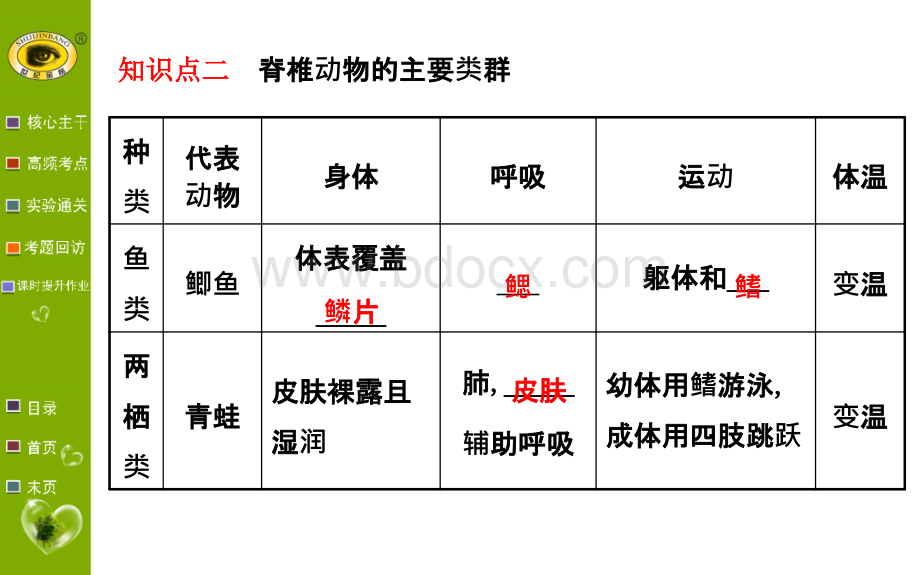 中考生物复习.ppt_第3页